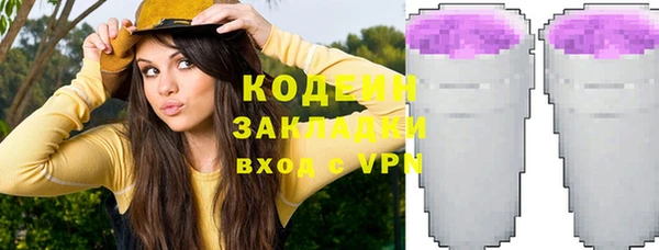 ПСИЛОЦИБИНОВЫЕ ГРИБЫ Гусь-Хрустальный