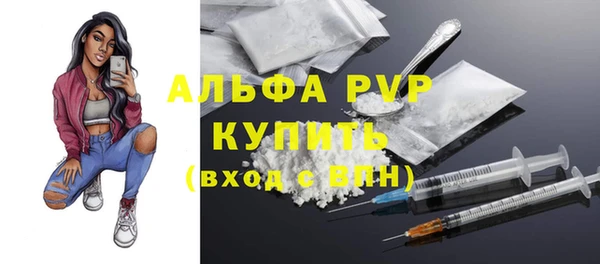 ПСИЛОЦИБИНОВЫЕ ГРИБЫ Гусь-Хрустальный
