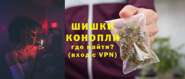 spice Гусиноозёрск