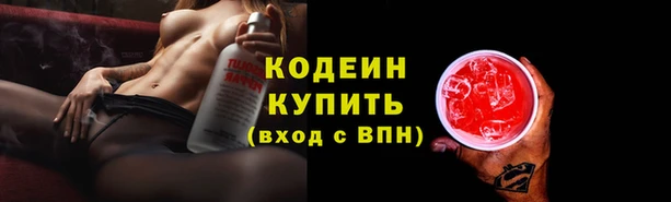 ПСИЛОЦИБИНОВЫЕ ГРИБЫ Гусь-Хрустальный