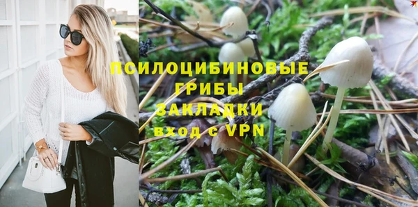 spice Гусиноозёрск
