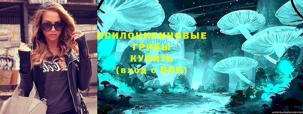 spice Гусиноозёрск