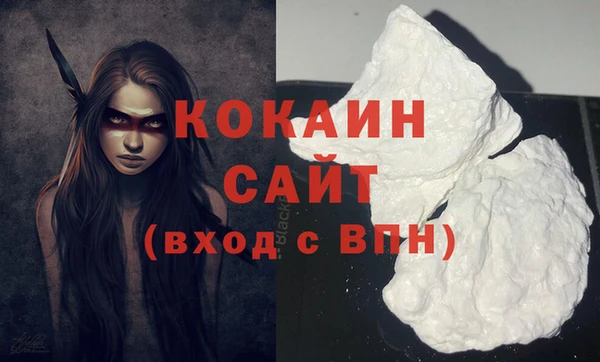 PSILOCYBIN Гусев