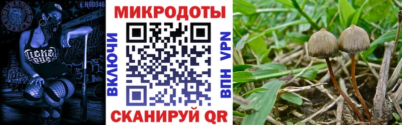 Галлюциногенные грибы мицелий  Вологда 