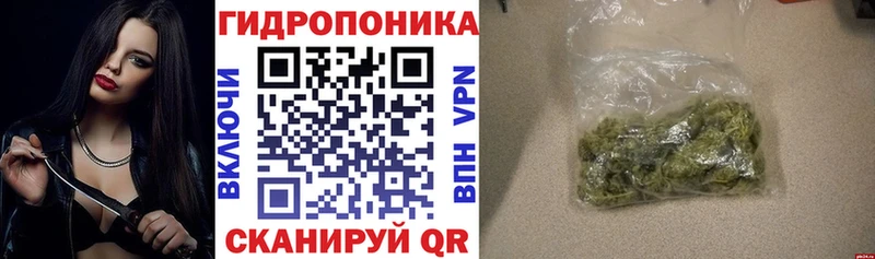 Канабис сатива  OMG рабочий сайт  Вологда 
